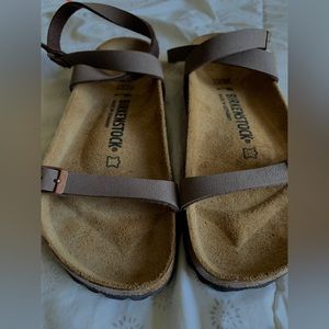 New Birkenstock Daloa Mocha sandals